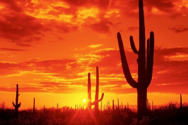 Cielo rojo en un desierto de Arizona
