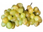 Racimo de uvas verdes