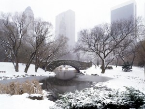 Central Park en invierno, Nueva York