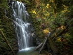 Berry Creek Falls, Parque Estatal de Big Basin Redwoods, California