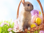 Canasta con huevos y un conejito para Semana Santa
