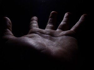 La palma de la mano
