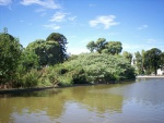 Pequeño lago del Parque Centenario de Buenos Aires (Argentina)