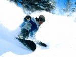 Snowboard en Snowbird, Utah
