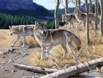 Pintura de unos lobos por Al Agnew