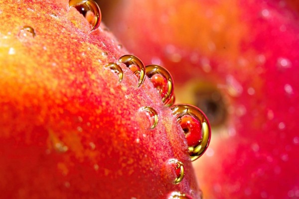 Gotas sobre la piel de una fruta