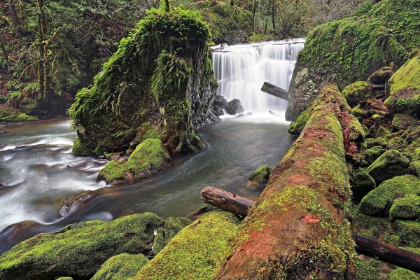 Cascadas en East Fork Coquille River, Oregon (EE.UU.)