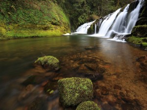 Cascadas de agua blanca (East Fork Coquille River, Oregon)