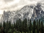 Montañas nevadas en el Parque nacional de Yosemite, California