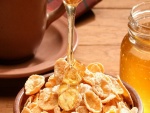 Miel y cereales