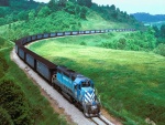 Tren de mercancías atravesando los verdes prados