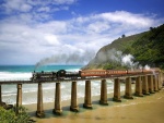 Tren de vapor cruzando la playa