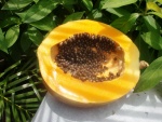 El interior de una papaya