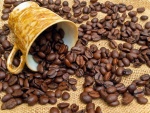 Una taza y granos de café