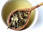Infusionando unas hojas de té
