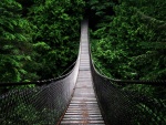 Puente colgante de Lynn Canyon, Columbia Británica