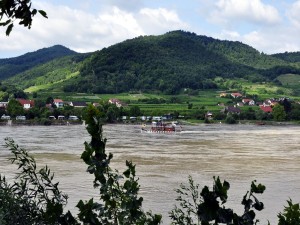 Postal: Valle austriaco de Wachau, formado por el río Danubio