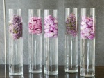 Tubos de cristal con flores