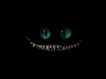 Un gato malvado en la oscuridad