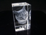 Grabado láser 3D de la cabeza de un gato