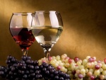 Dos tipos de vino y uvas