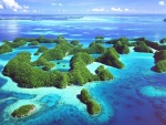 Islas cubiertas de vegetación en Palaos