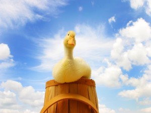 Postal: Un pato amarillo sobre un barril de madera