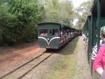 Tren ecológico de la selva, en el Parque nacional Iguazú (Argentina)