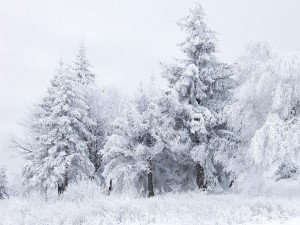 Paisaje invernal en el Paso de Shipka, Bulgaria