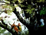 La princesa Mononoke y los extraños seres del bosque