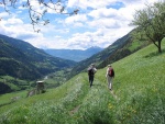 Senderismo por el camino "Meraner Höhenweg", al sur del Tirol
