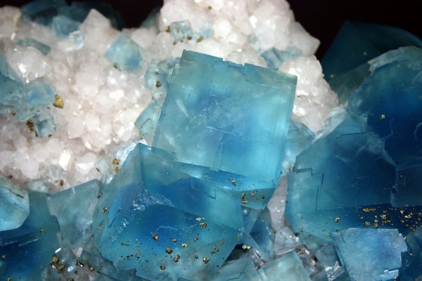 Cristales de fluorita (azul) con pirita (dorada)