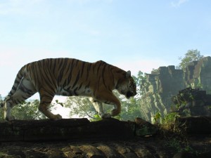 Tigre majestuoso