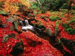 Cascadas en otoño