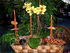 Postal: Arreglo floral con una planta de orquídea