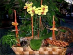 Arreglo floral con una planta de orquídea