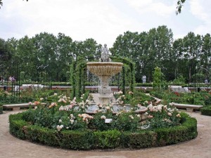 Rosaleda en el Parque del Retiro de Madrid (España)