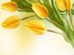 Tulipanes amarillos cerrados