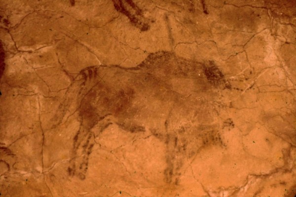 Bisonte en la cueva de Altamira