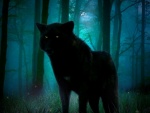 Lobo negro en las sombras