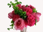 Claveles y rosas de color rosado con hojas verdes