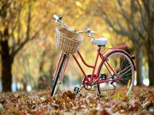 Bicicleta sobre las hojas caídas de otoño