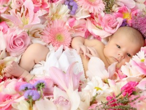 Postal: Un bebé acostado sobre flores