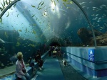 El túnel de exhibición "Ocean Voyager" (Estados Unidos)