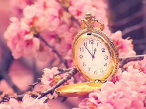 Postal: Reloj de bolsillo entre flores de cerezo