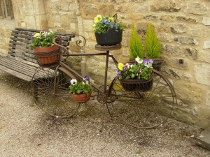 Bicicleta decorativa con plantas