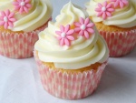 Cupcakes decorados con flores rosas