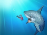 Tiburón atacando a un pez betta