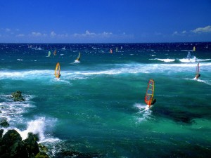 Postal: Mar lleno de windsurfistas
