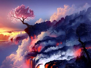 Cerezo solitario en un mar de lava